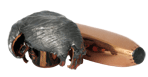 oryx