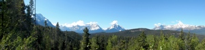 t-wideview