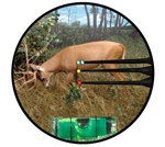 t-PNPaim20yd