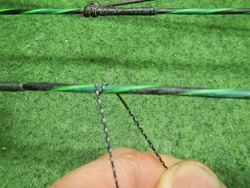 t loop2
