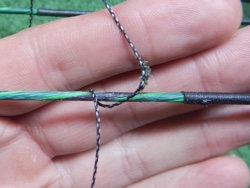 t loop3