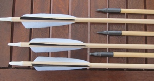 t-05 arrows