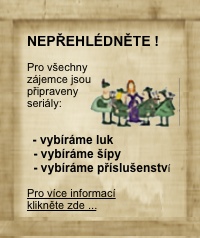 flash-serialy-v2-wp